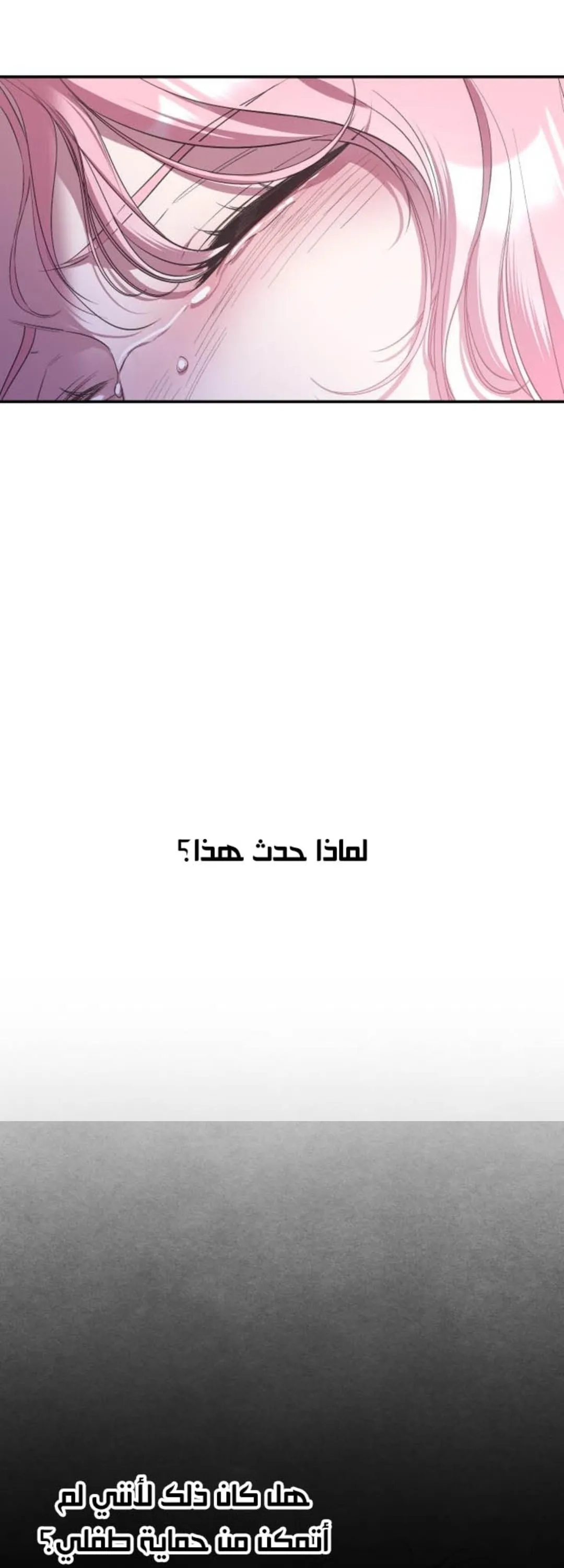 الصفحة 102