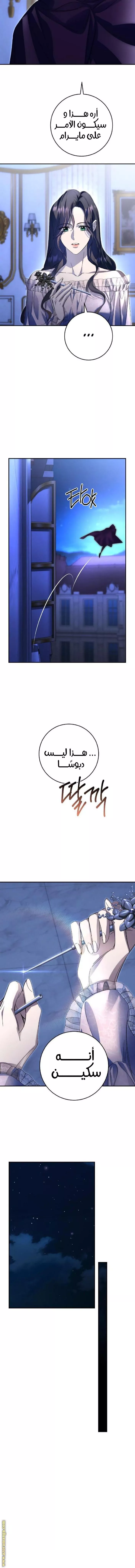 الصفحة 14