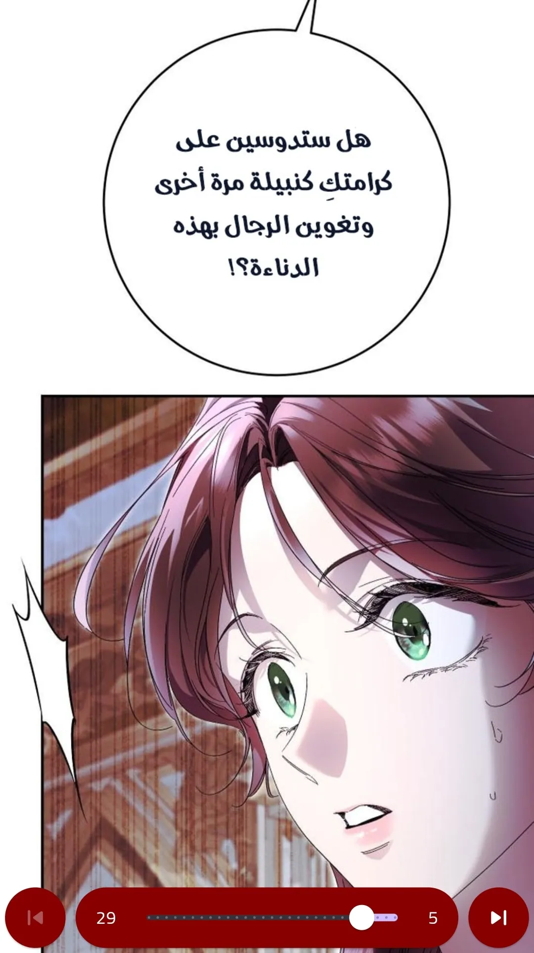 الصفحة 13