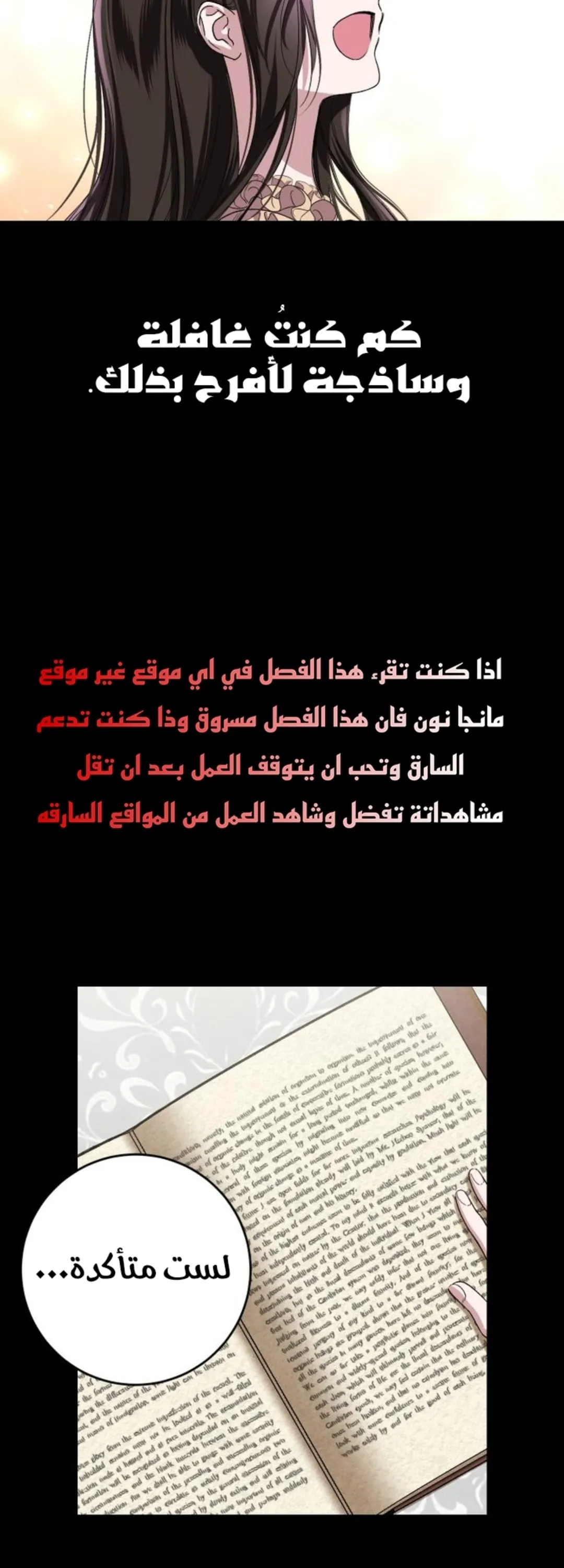 الصفحة 17