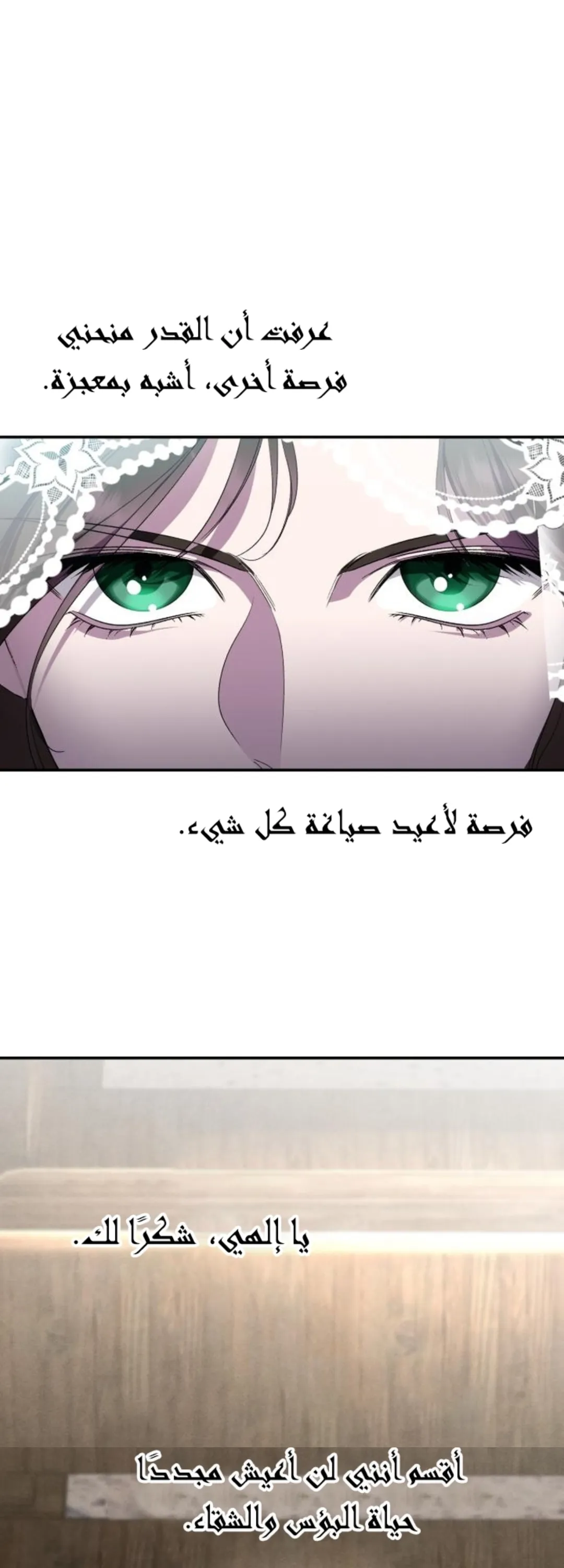 الصفحة 29