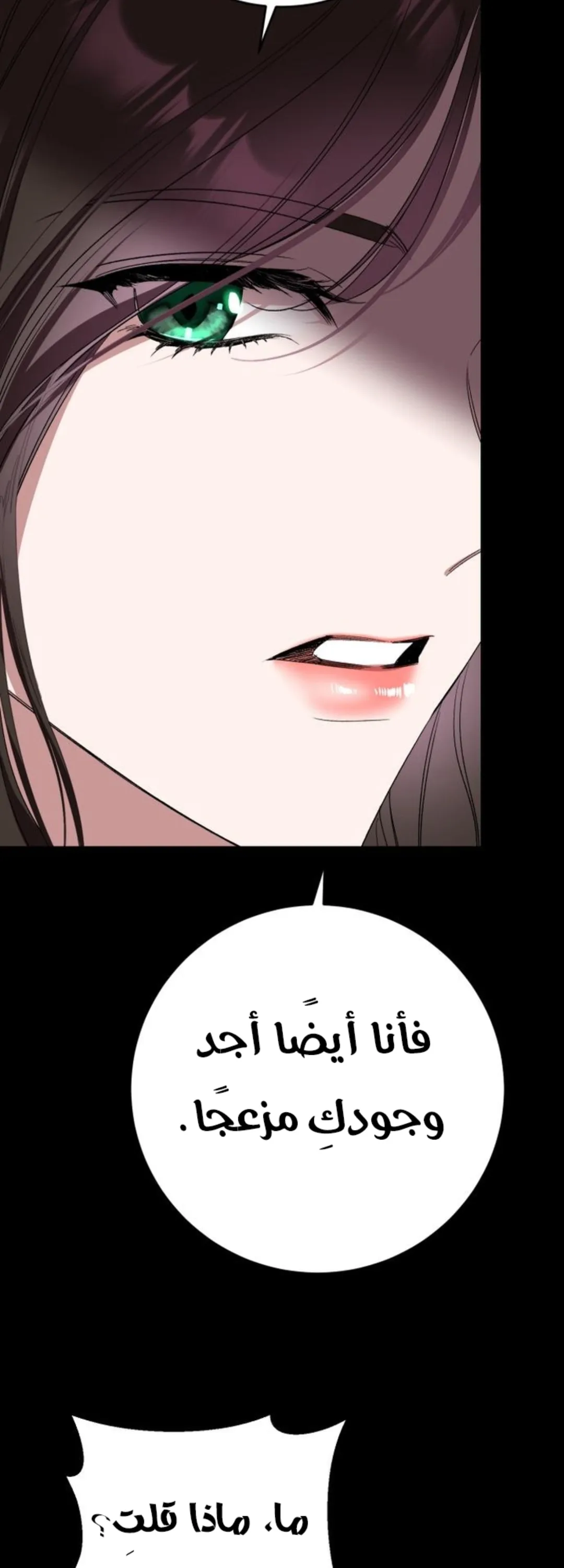 الصفحة 53