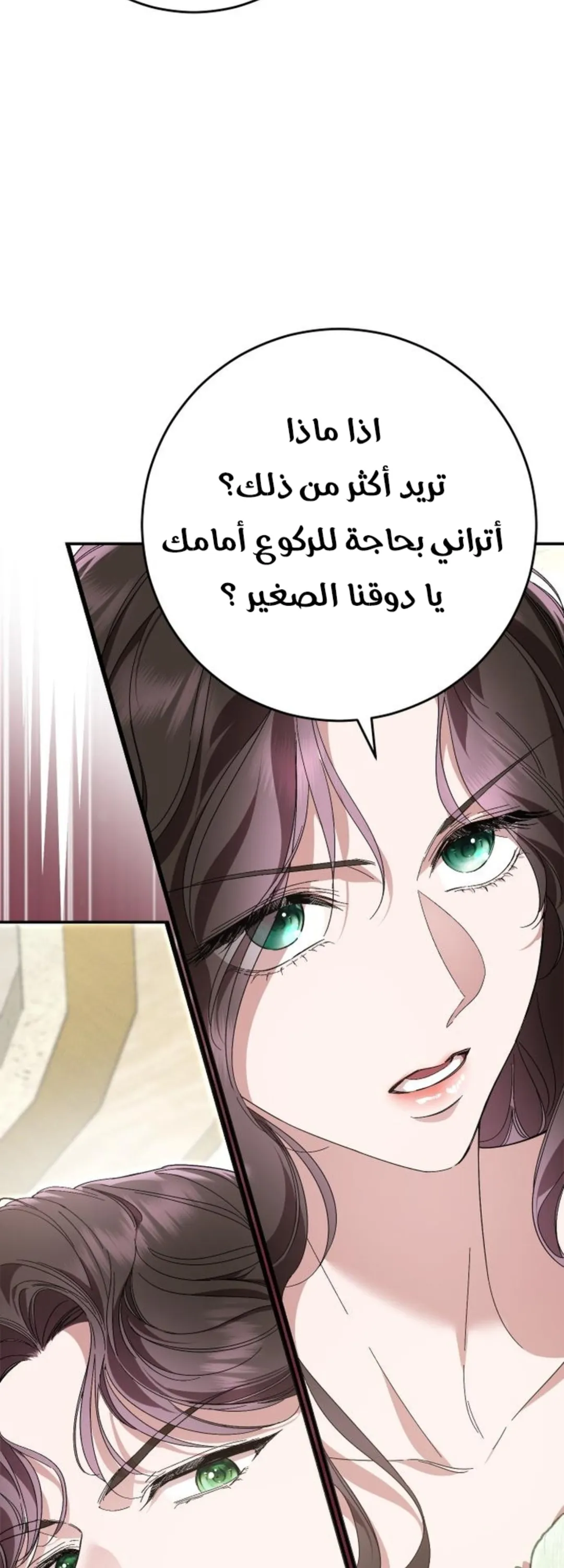 الصفحة 47