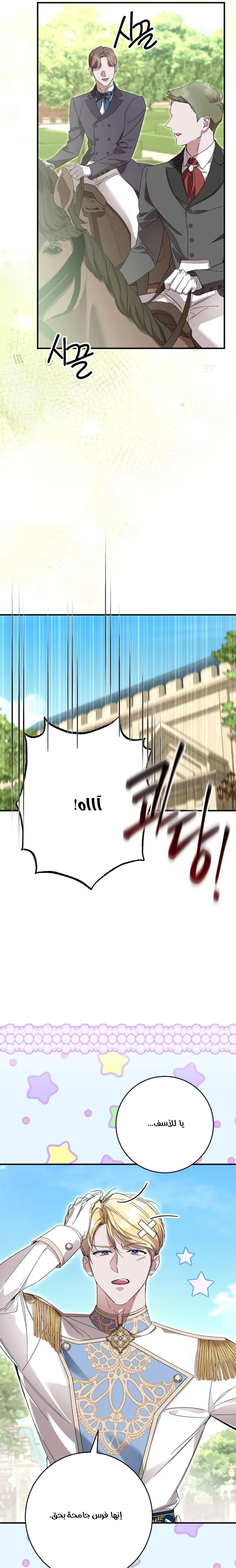 الصفحة 28