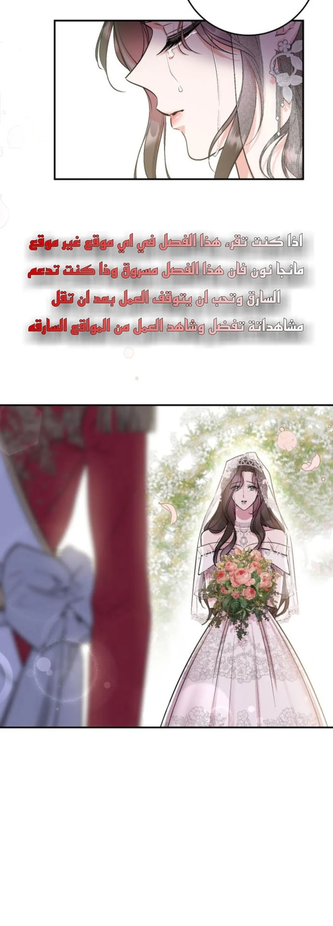 الصفحة 24