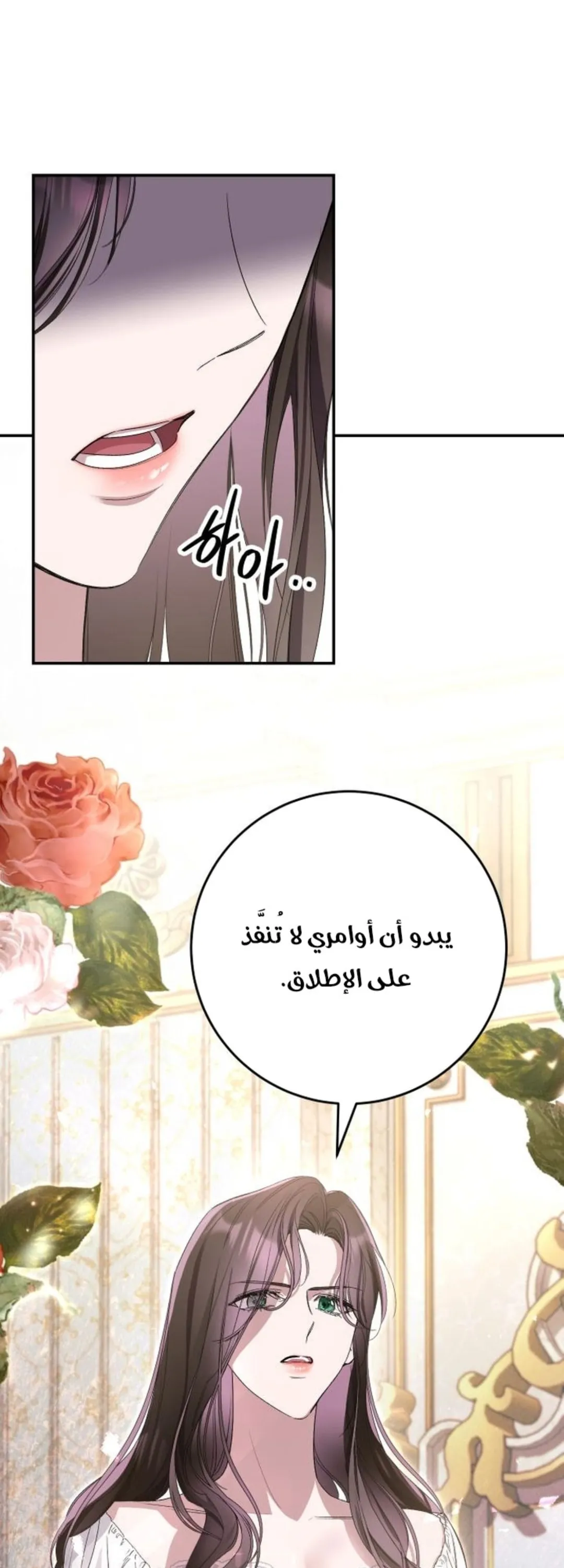 الصفحة 49