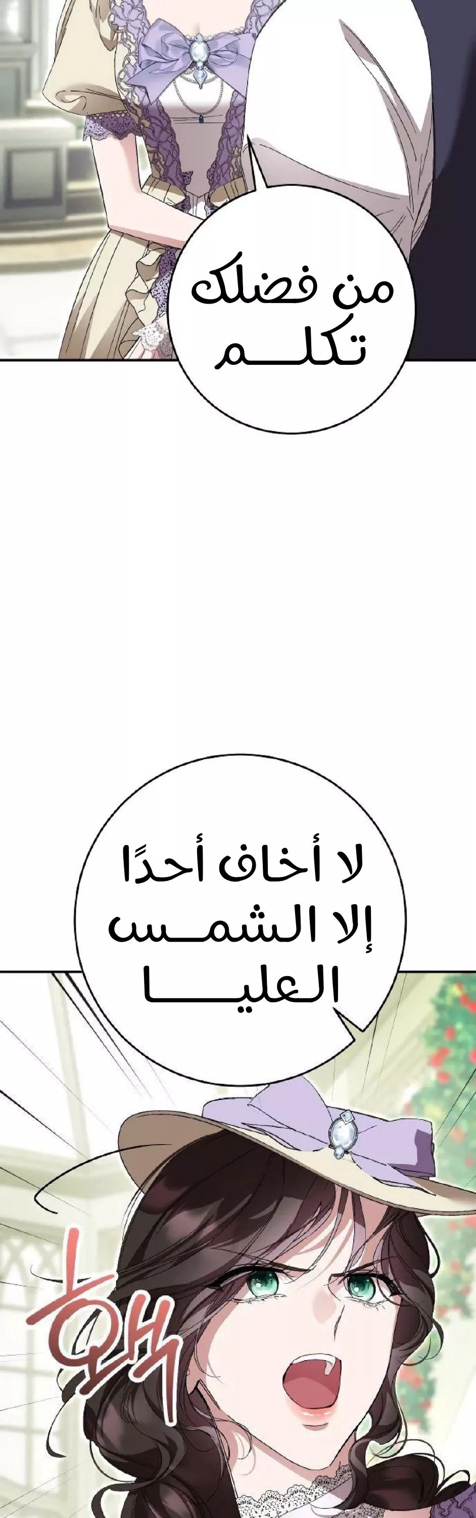 الصفحة 25