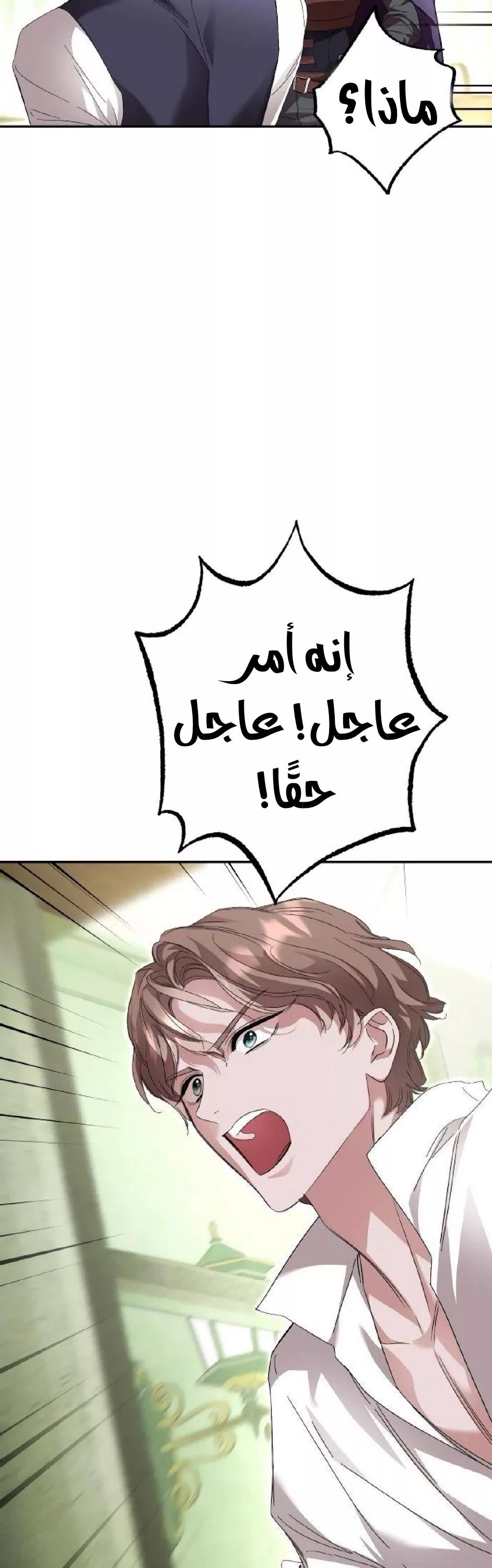 الصفحة 43