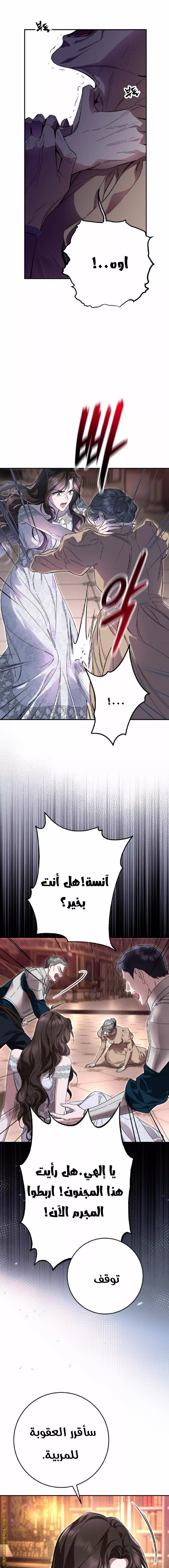 الصفحة 11