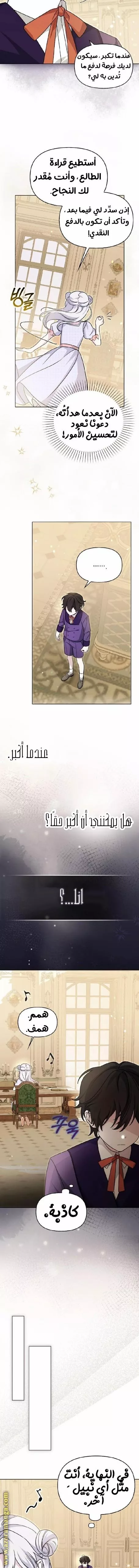الصفحة 13