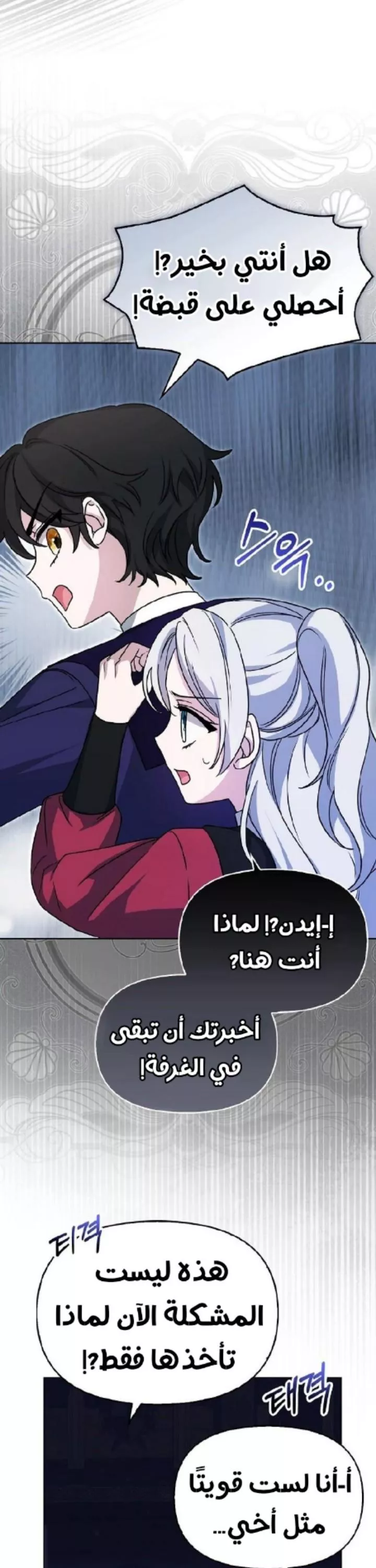 الصفحة 13
