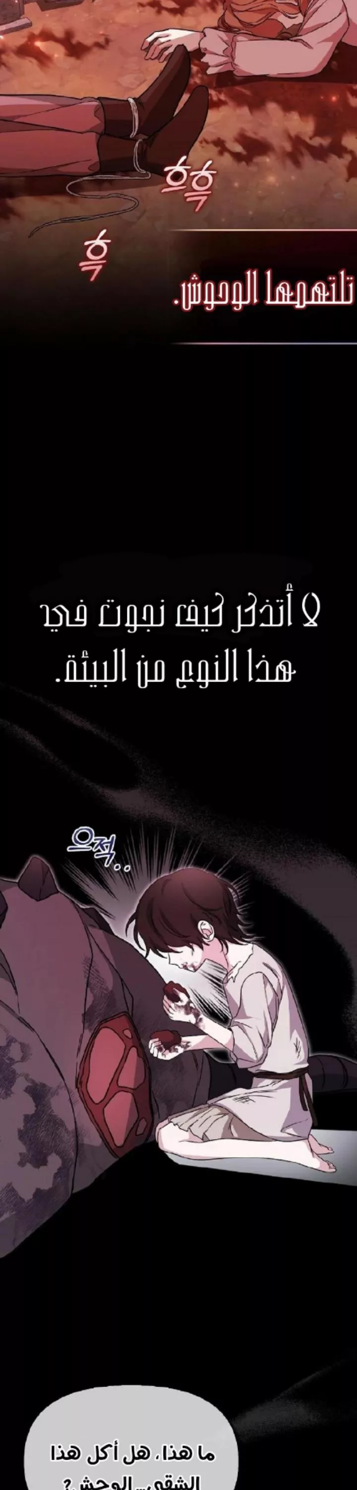الصفحة 21
