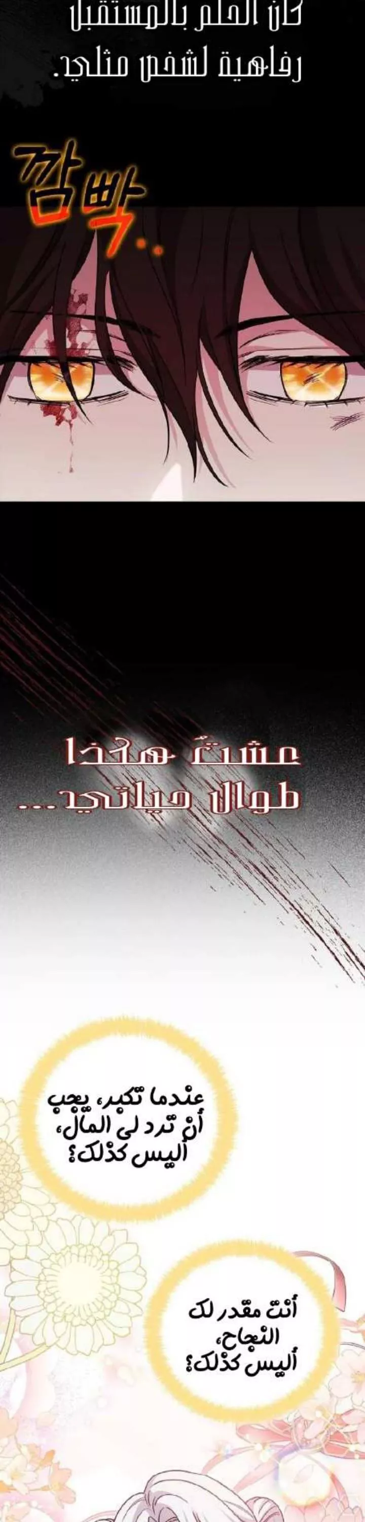 الصفحة 24