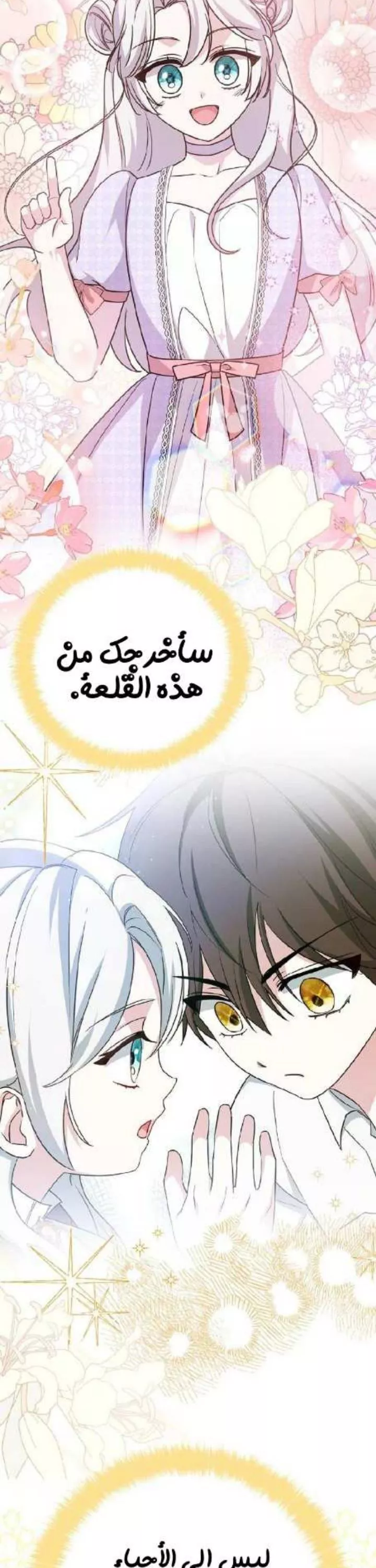 الصفحة 25
