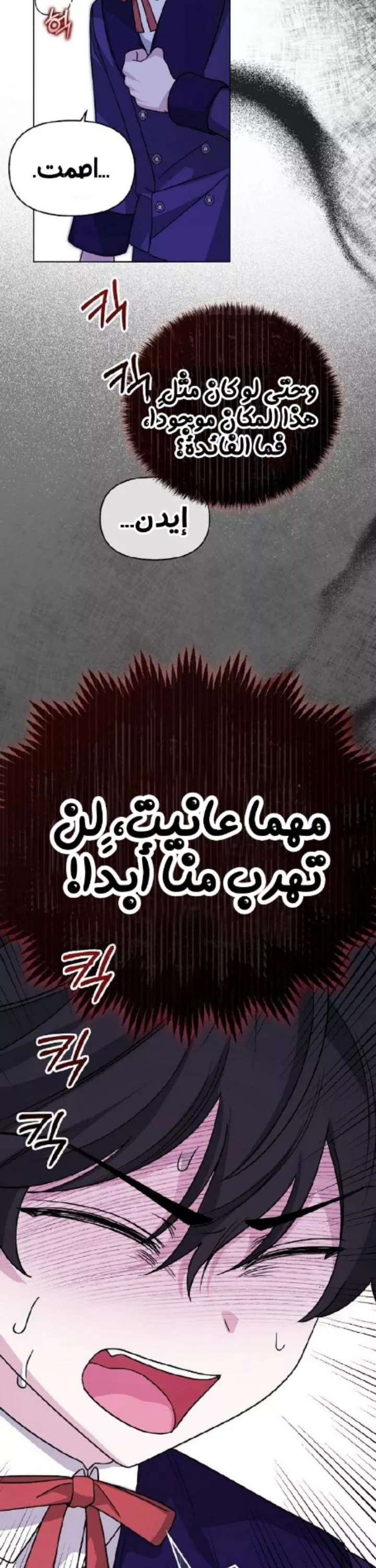 الصفحة 27