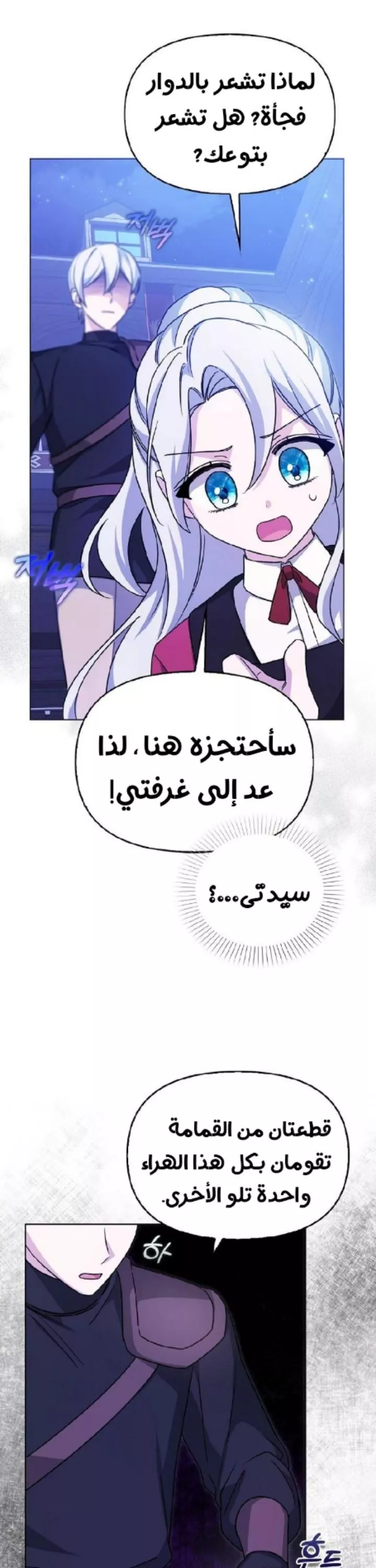 الصفحة 29