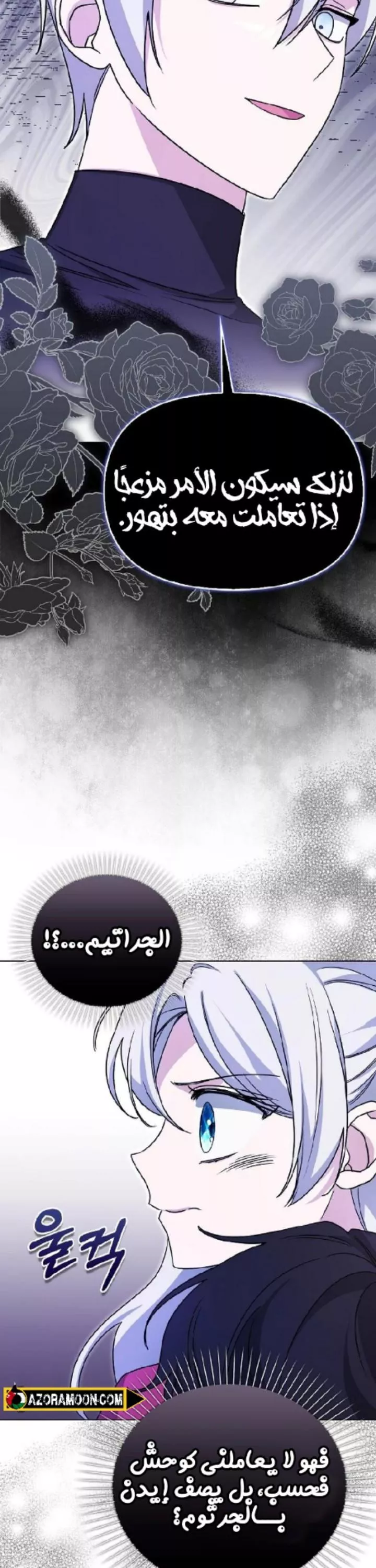 الصفحة 41