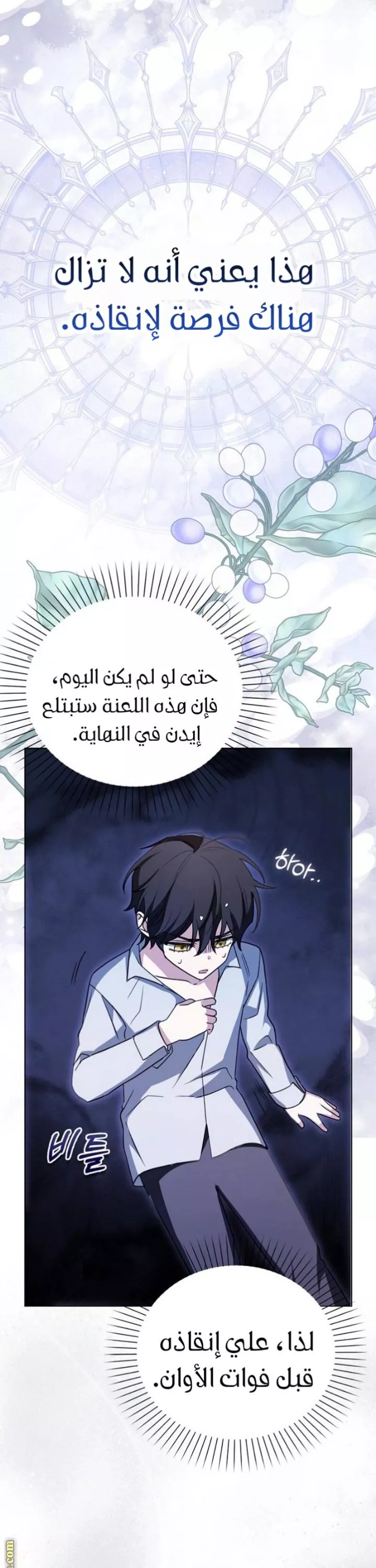 الصفحة 12