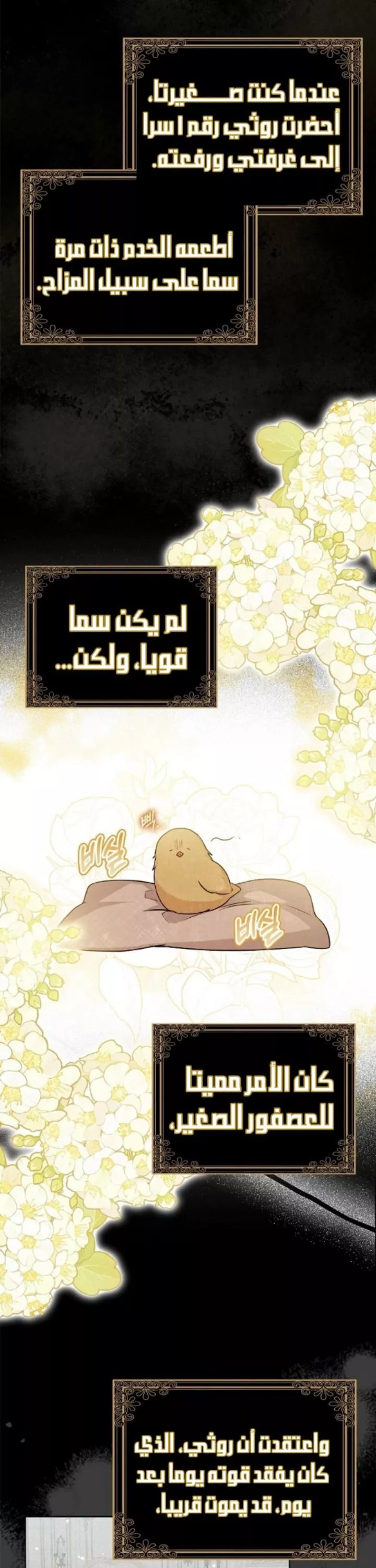 الصفحة 17