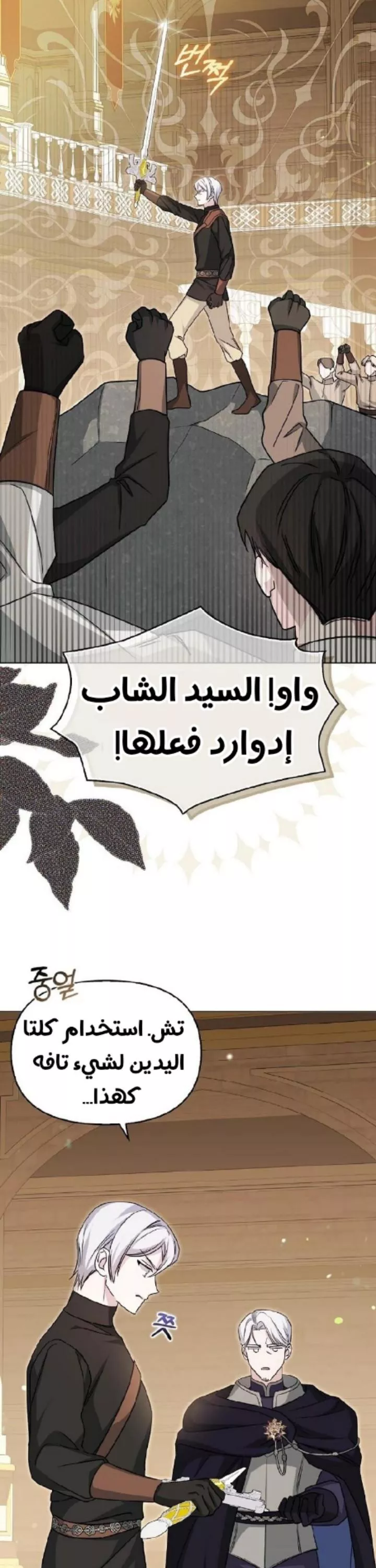 الصفحة 29