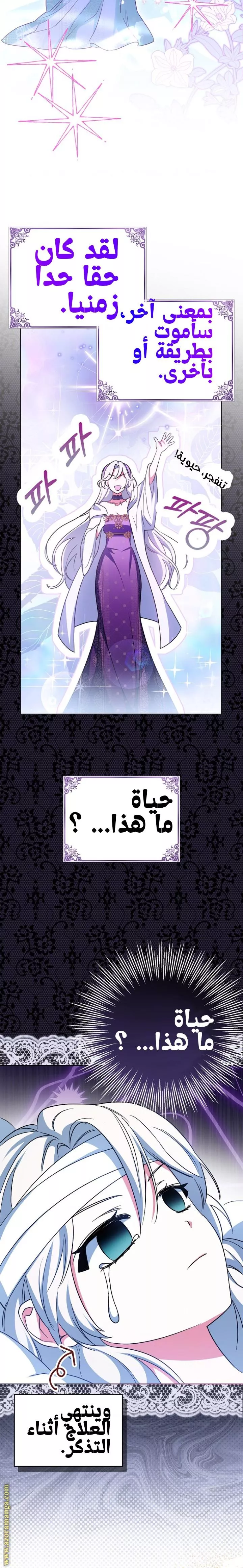 الصفحة 13