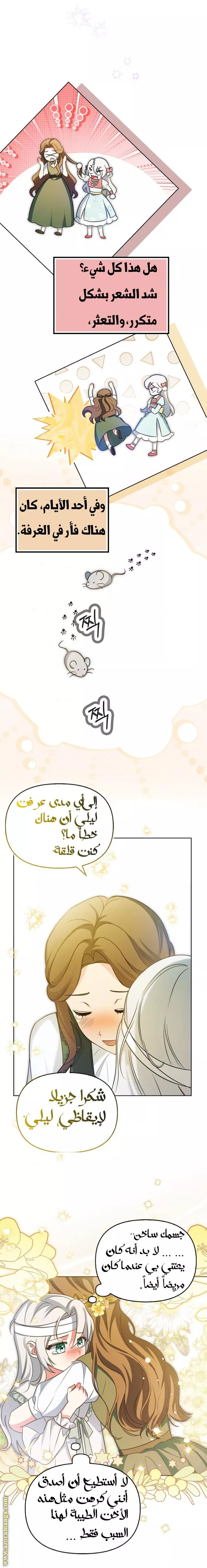 الصفحة 15