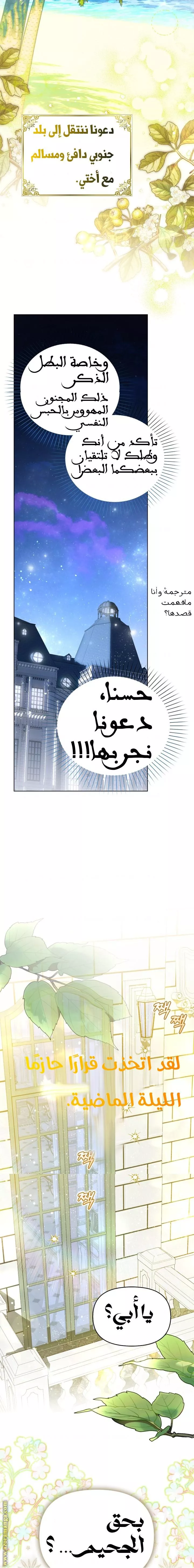 الصفحة 19