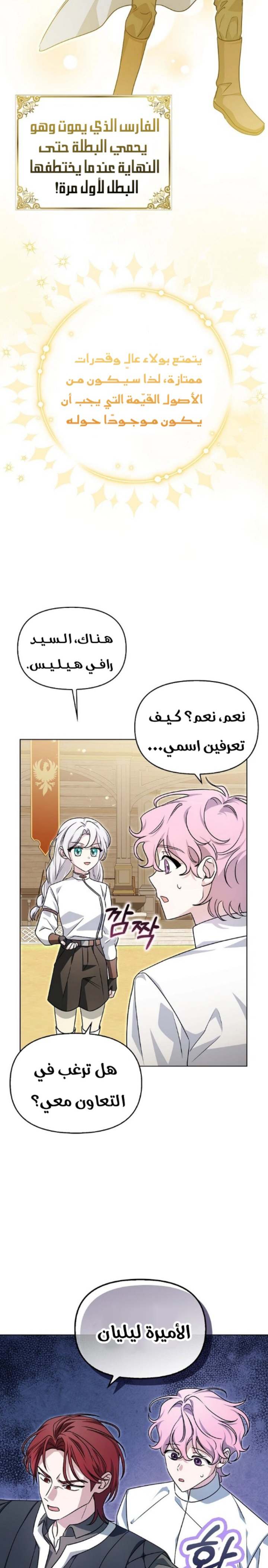 الصفحة 17