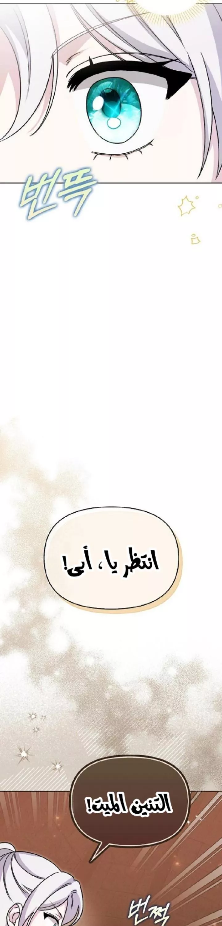 الصفحة 29