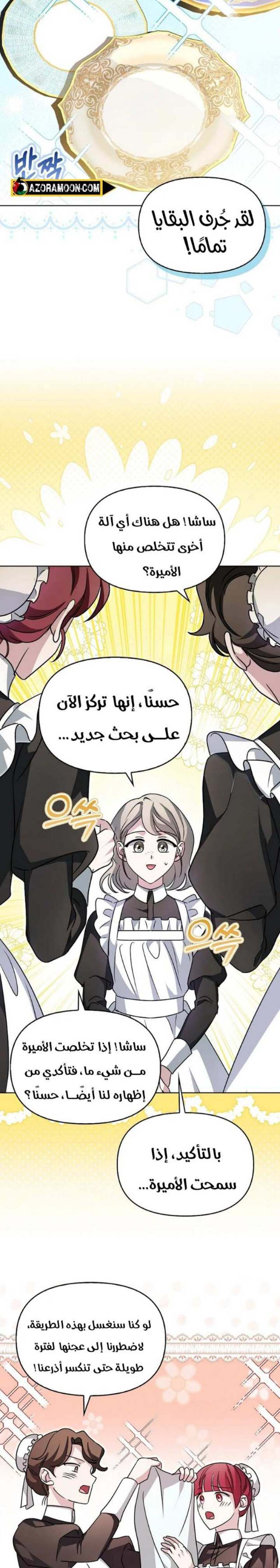 الصفحة 17