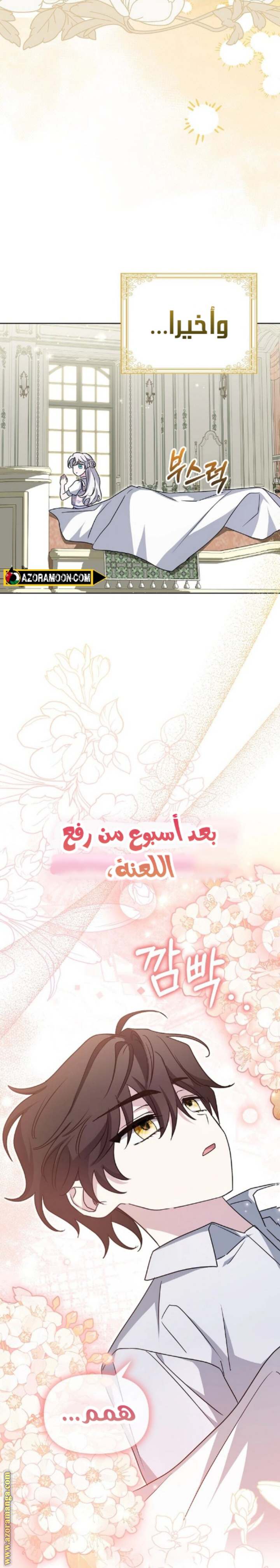 الصفحة 20