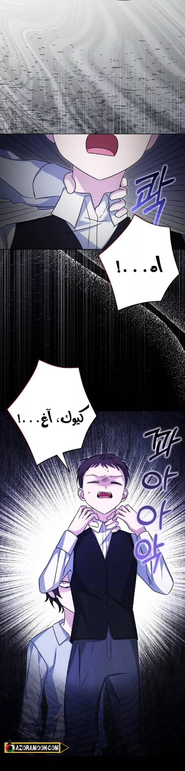 الصفحة 25