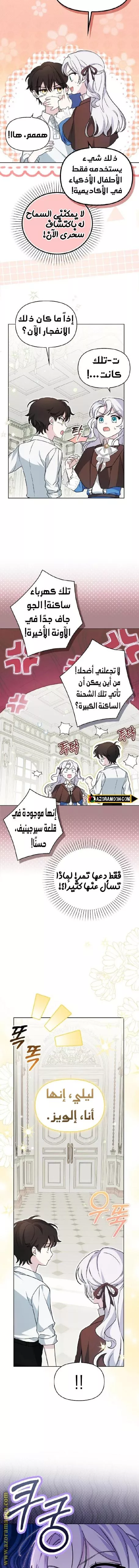 الصفحة 13