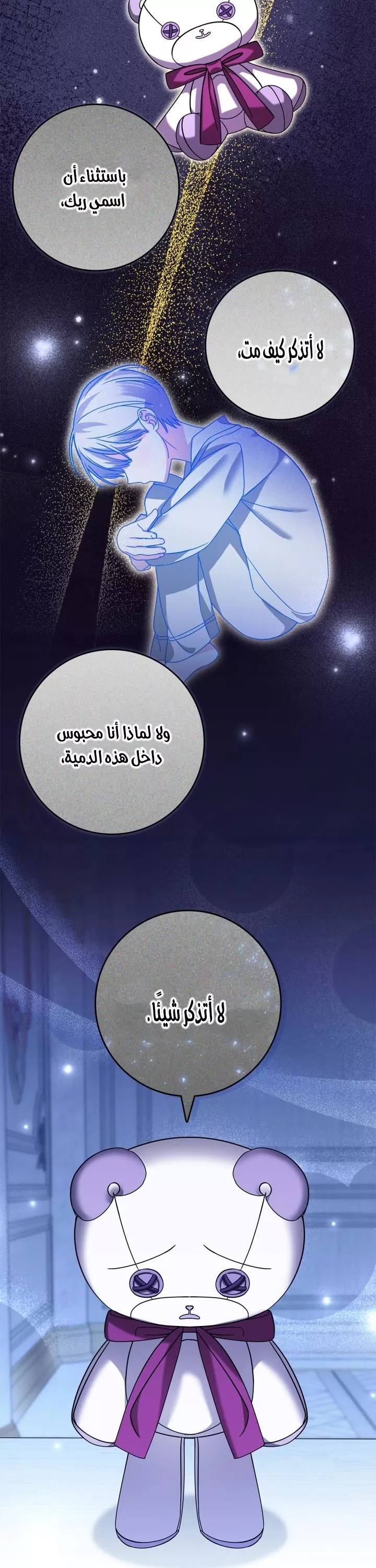 الصفحة 25