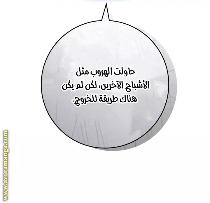 الصفحة 26