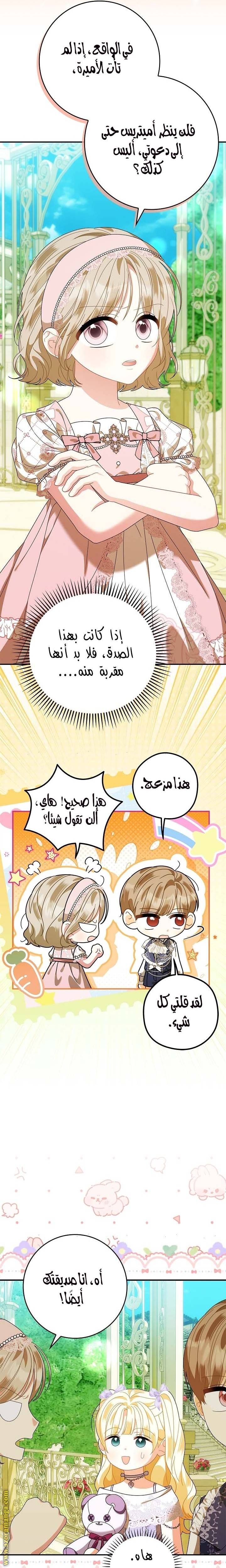 الصفحة 19