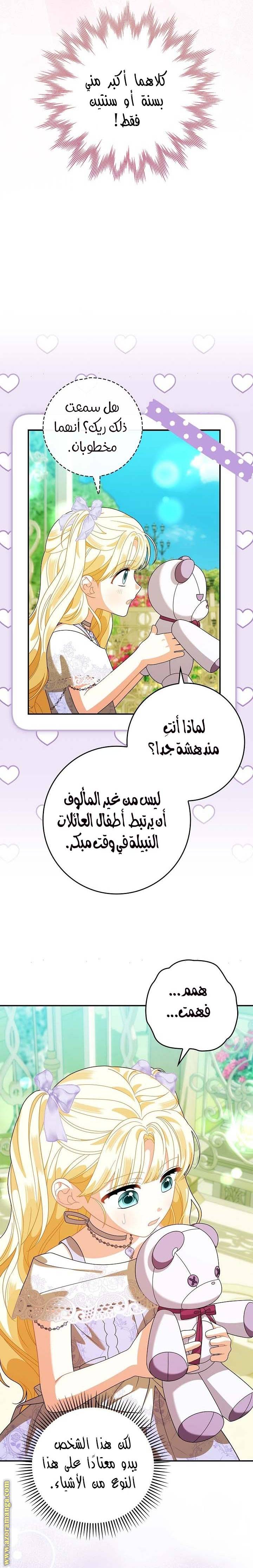الصفحة 25