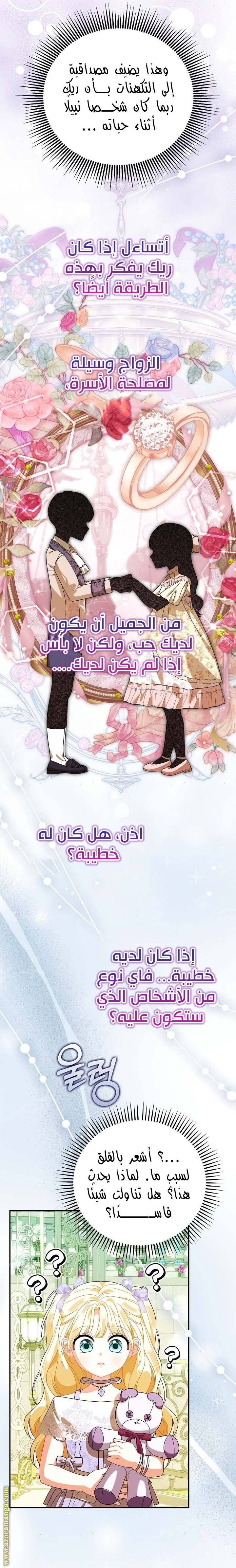 الصفحة 26