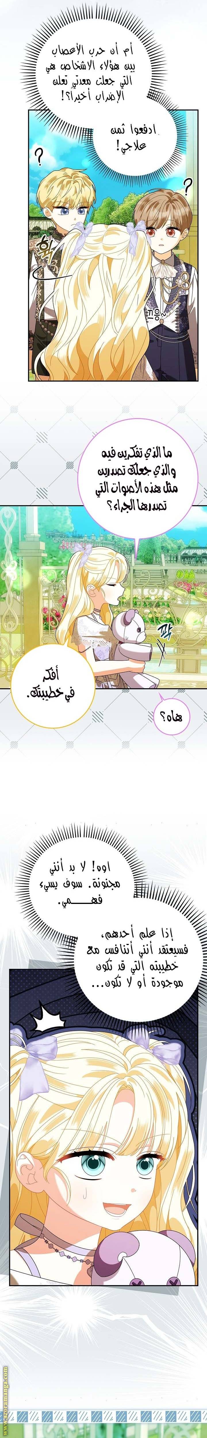 الصفحة 27