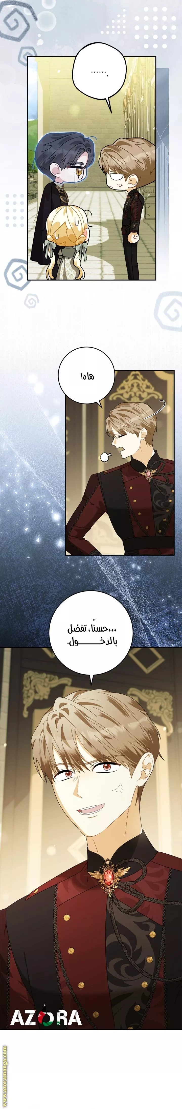 الصفحة 17