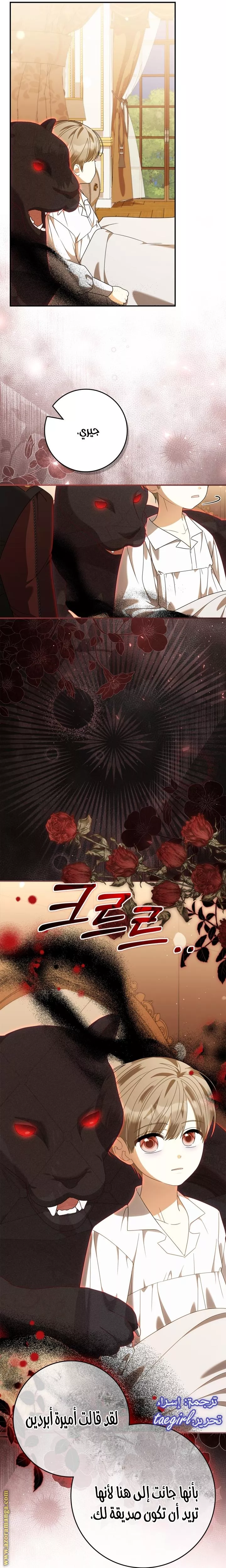 الصفحة 27