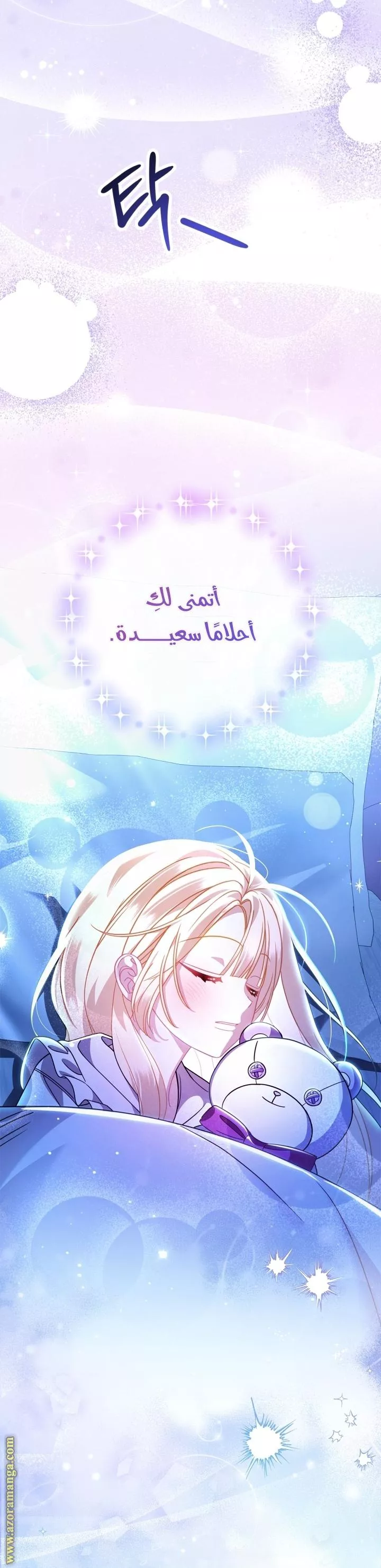 الصفحة 29