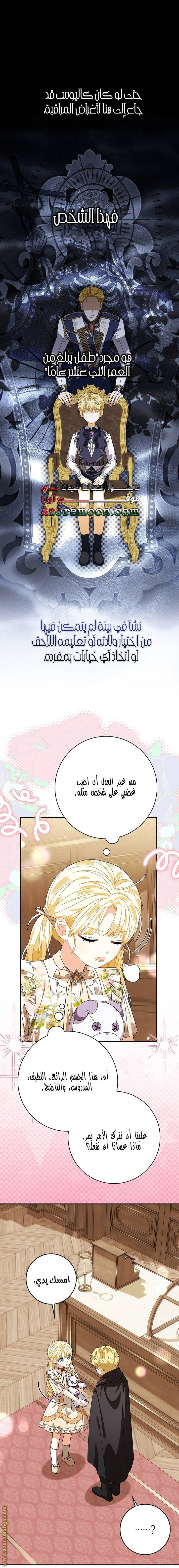 الصفحة 21