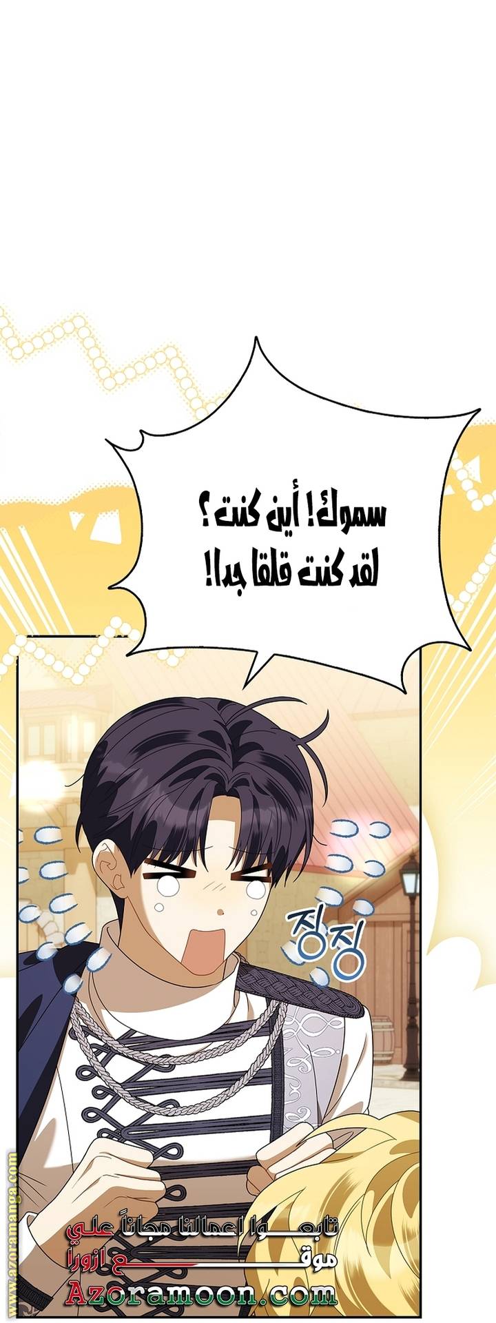 الصفحة 25