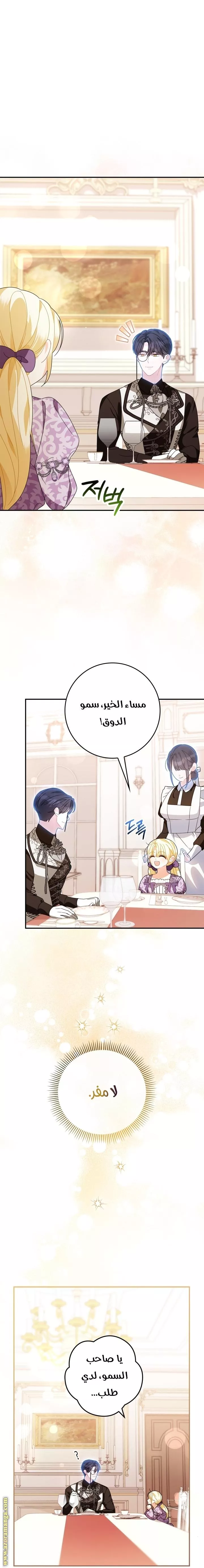 الصفحة 29
