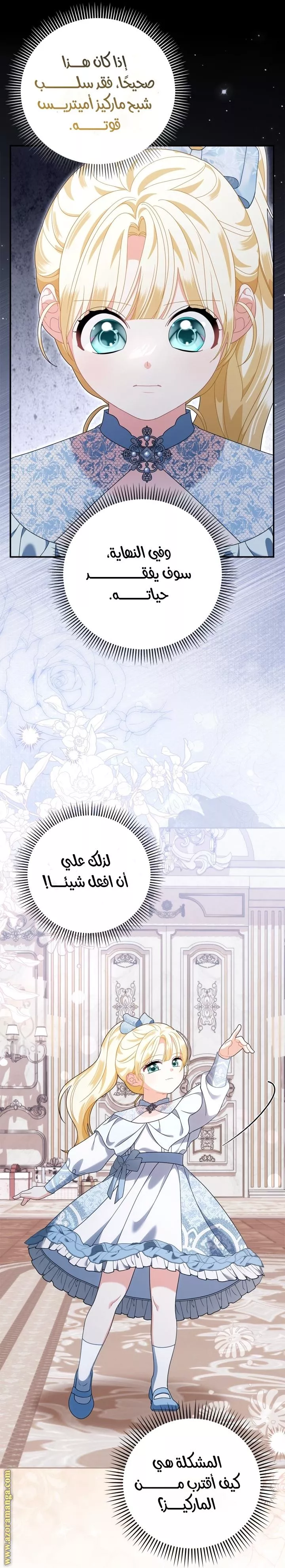 الصفحة 17