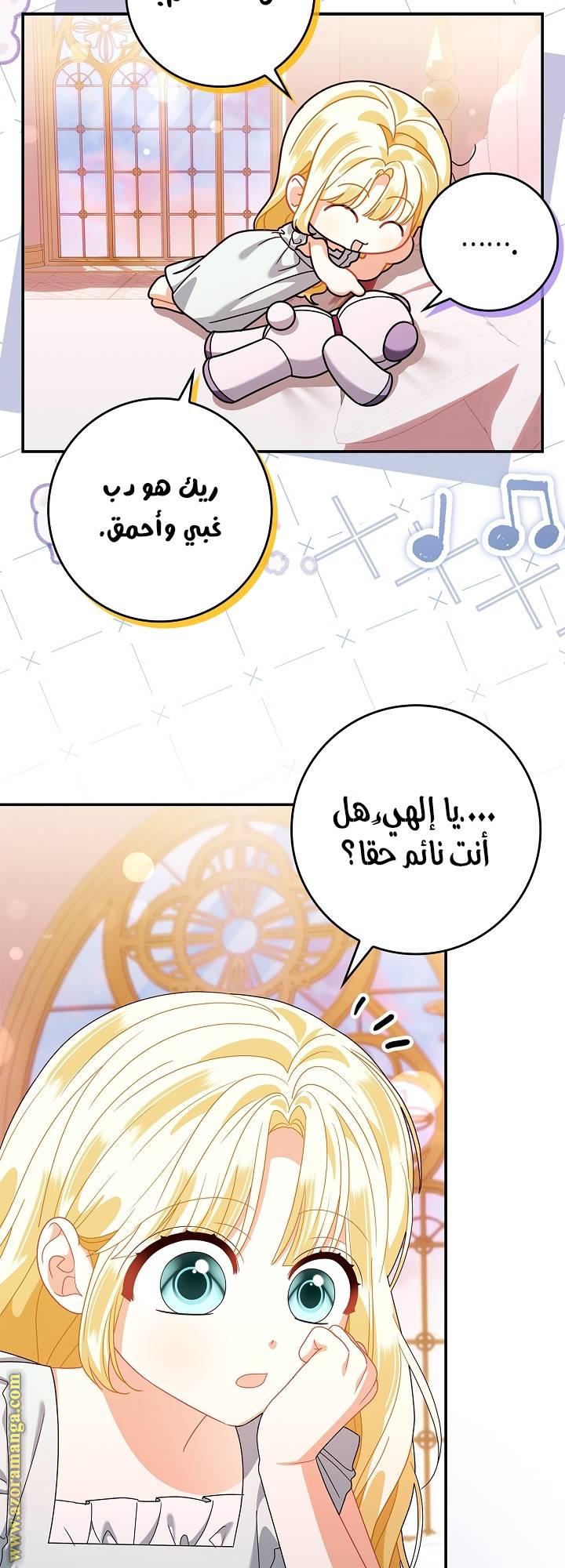 الصفحة 17