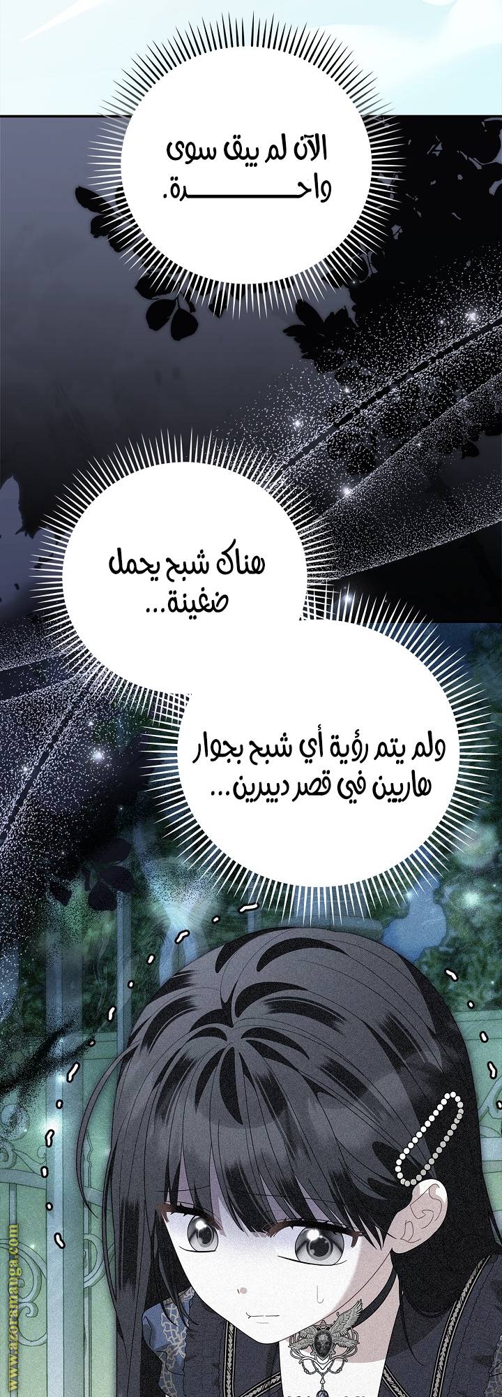 الصفحة 56