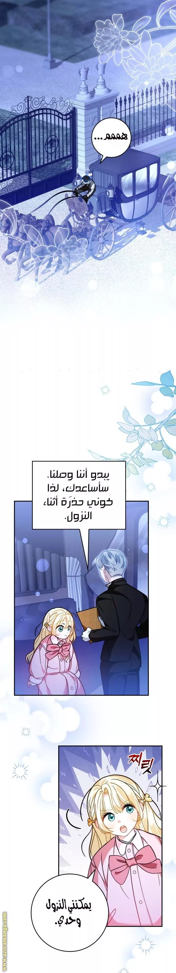 الصفحة 27