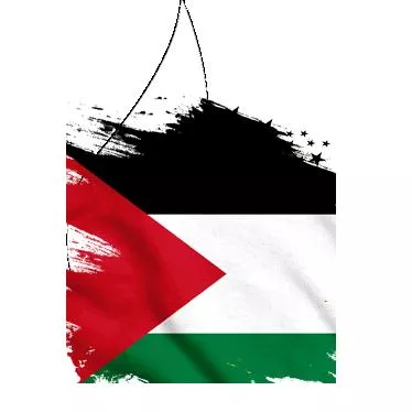 الصفحة 27